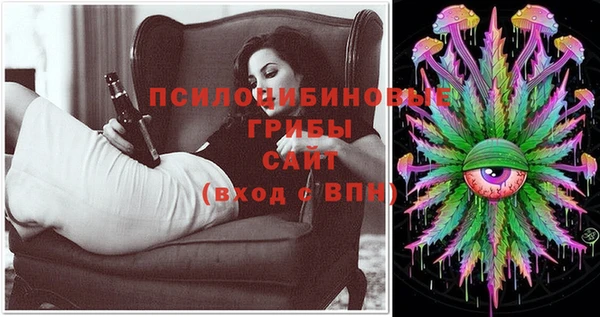 не бодяженный Горно-Алтайск