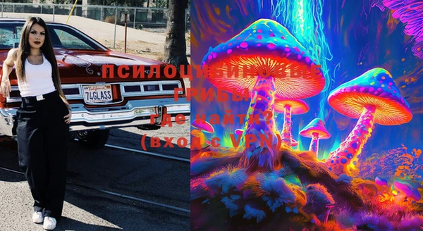 прущая мука Алзамай
