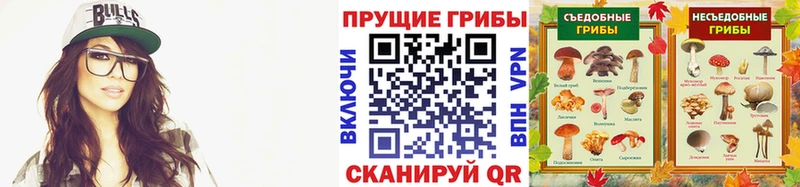 Галлюциногенные грибы Psilocybine cubensis  наркотики  Куровское 